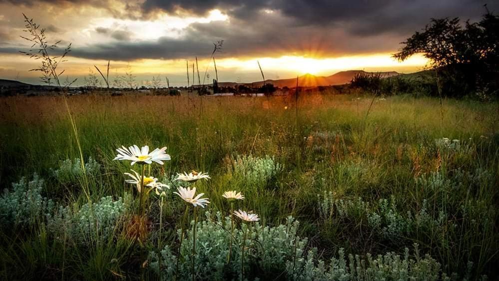 Wetlands Country House & Sheds Wakkerstroom Exterior foto
